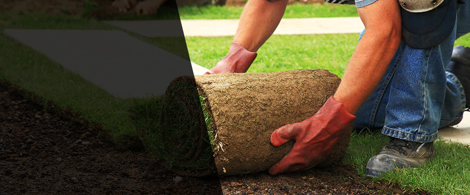 Vicksburg Landscapers